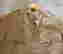 item-129367967=2