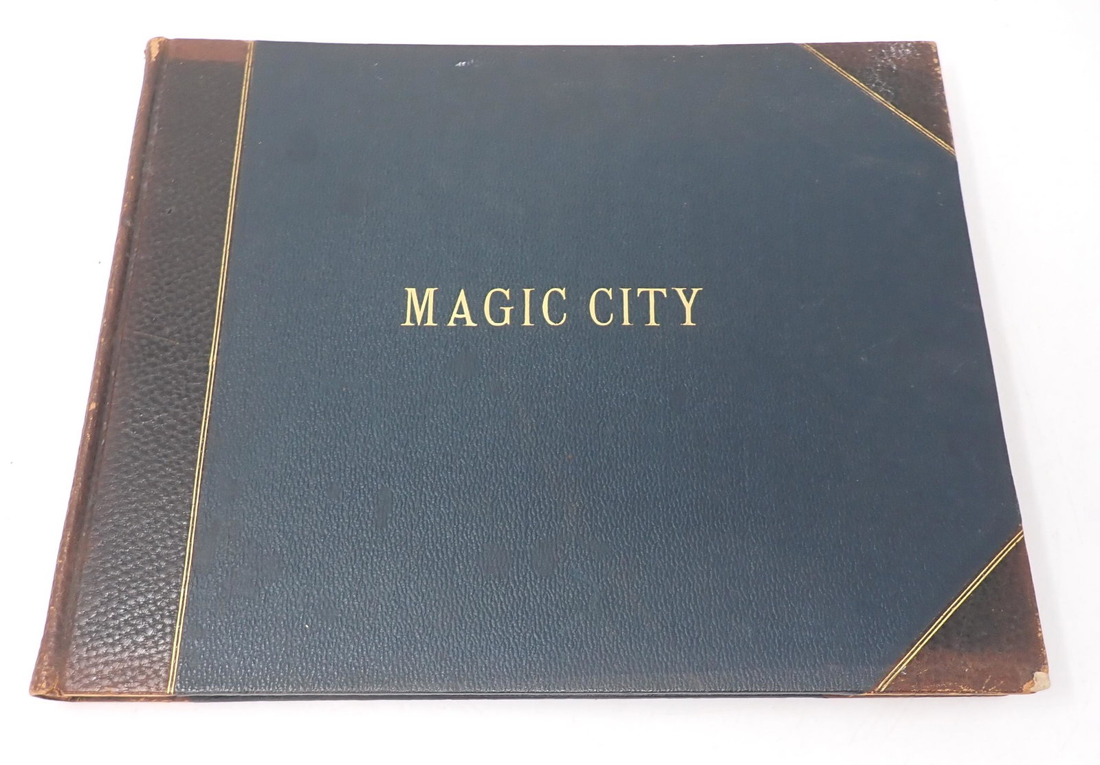 1894 The Magic City Great Worlds Fair Book (1 of 7)