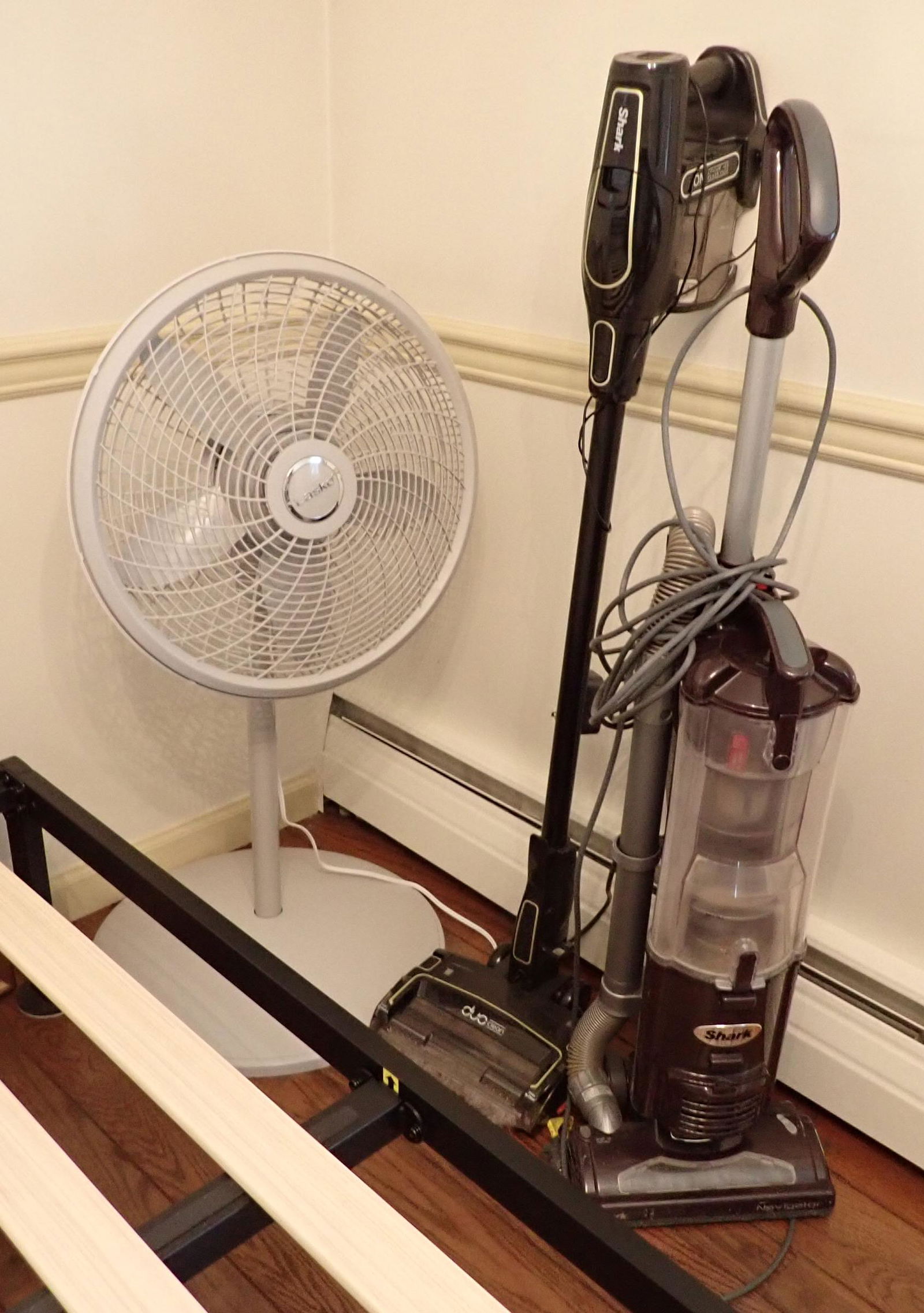 Shark Vacuums Bed Fan Print Wing Chair (1 of 5)