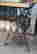 item-130903940=2