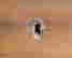 item-130903946=4