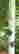item-130903964=4