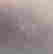item-131506632=2