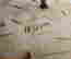 item-131949779=6