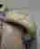 item-131949884=8