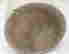 item-131949901=5