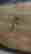 item-131949999=3