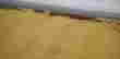 item-131950059=10