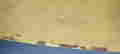 item-131950059=7