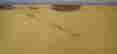 item-131950059=9