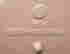 item-131950088=5