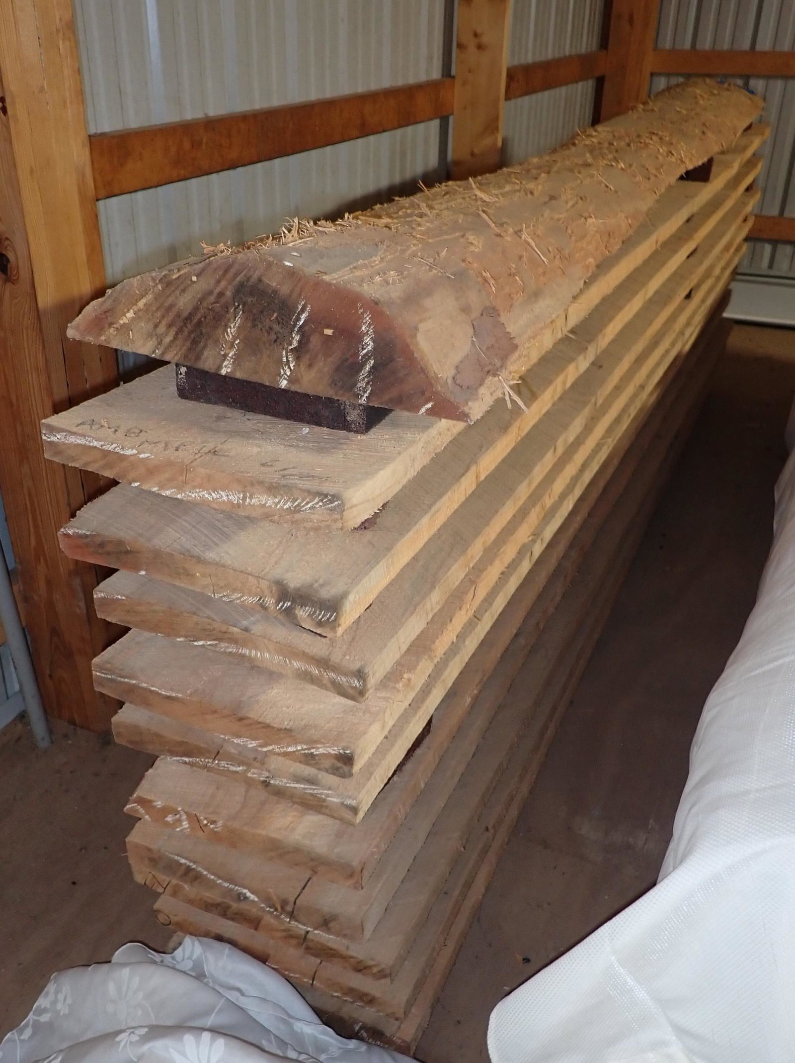 11 pcs of Ambrosia Lumber (1 of 4)