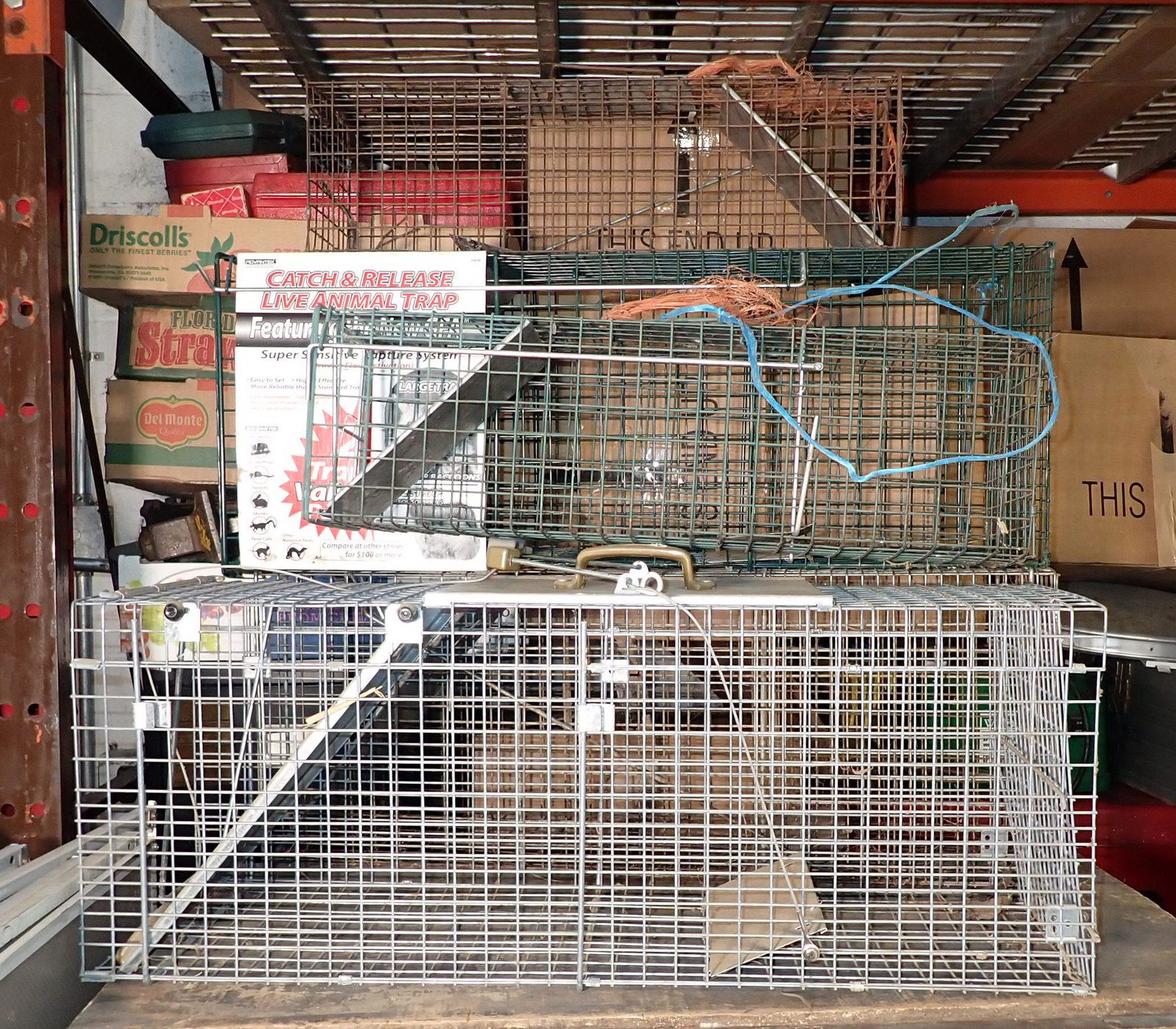 5 Animal Traps (1 of 2)