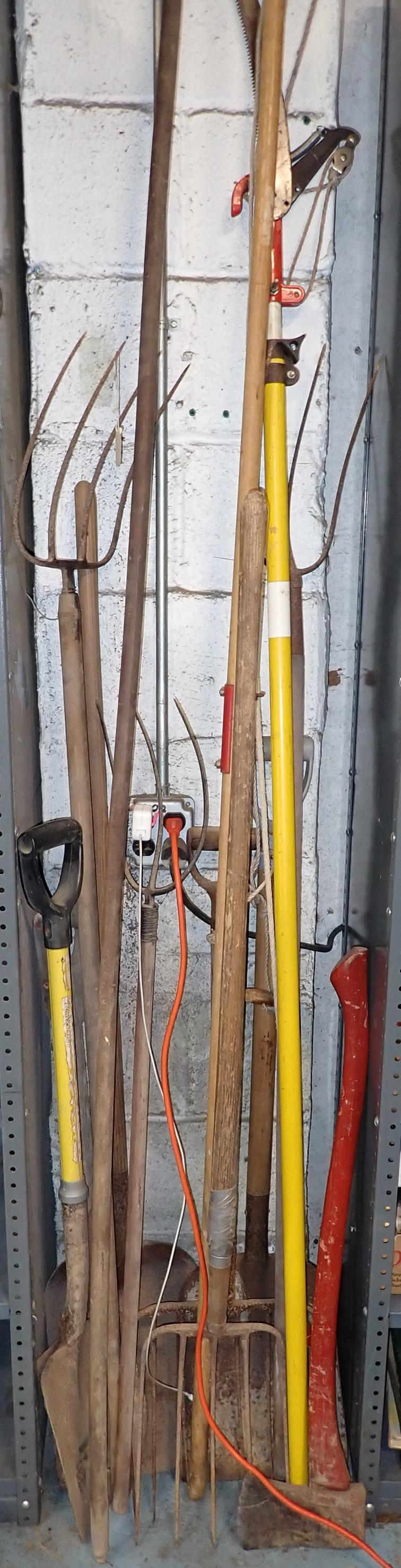 Pole Saws Manure / Hay Forks Shovels Axe (1 of 4)