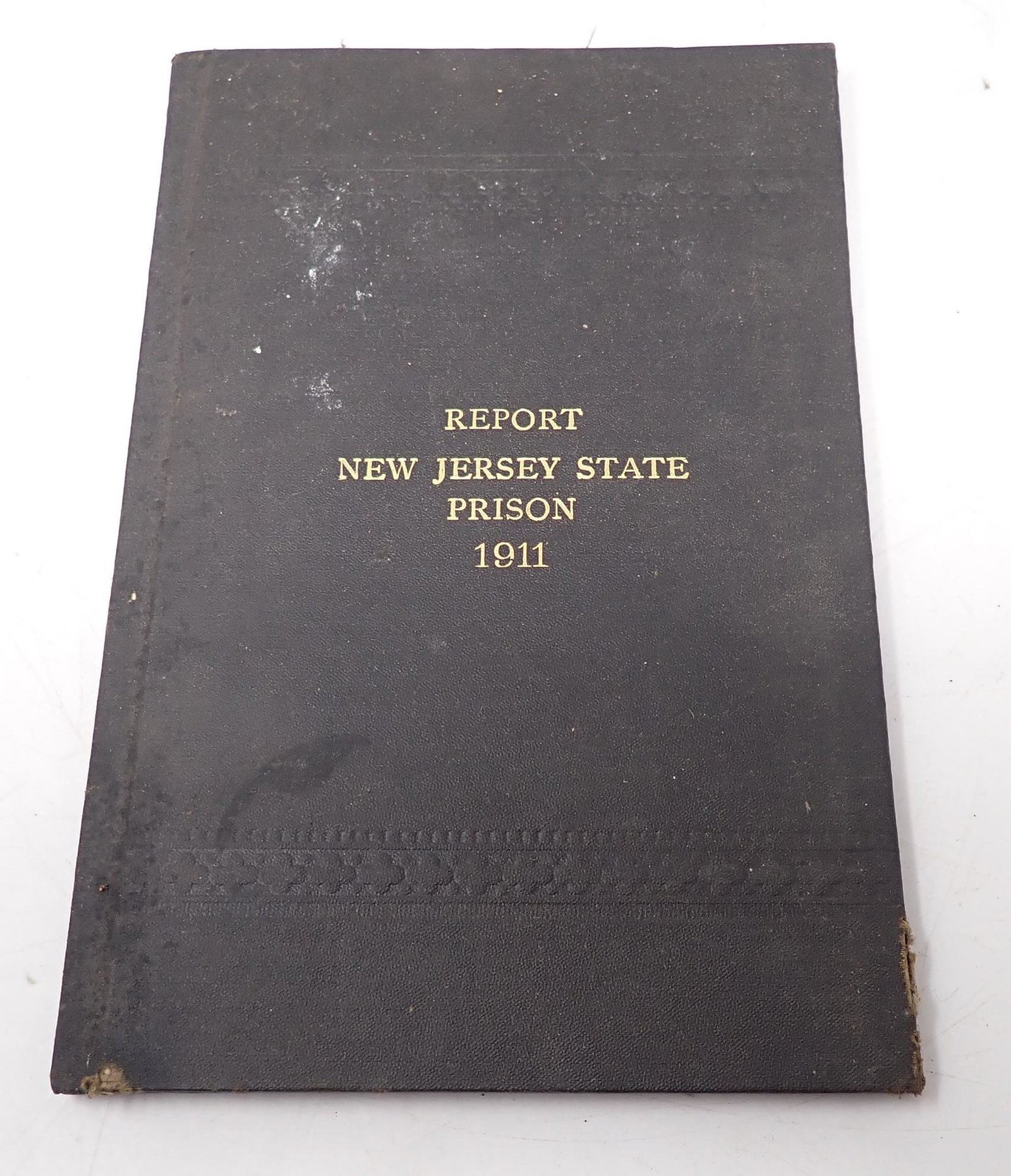 1911 New Jersey State Prison Report Book: NJ Prison report book