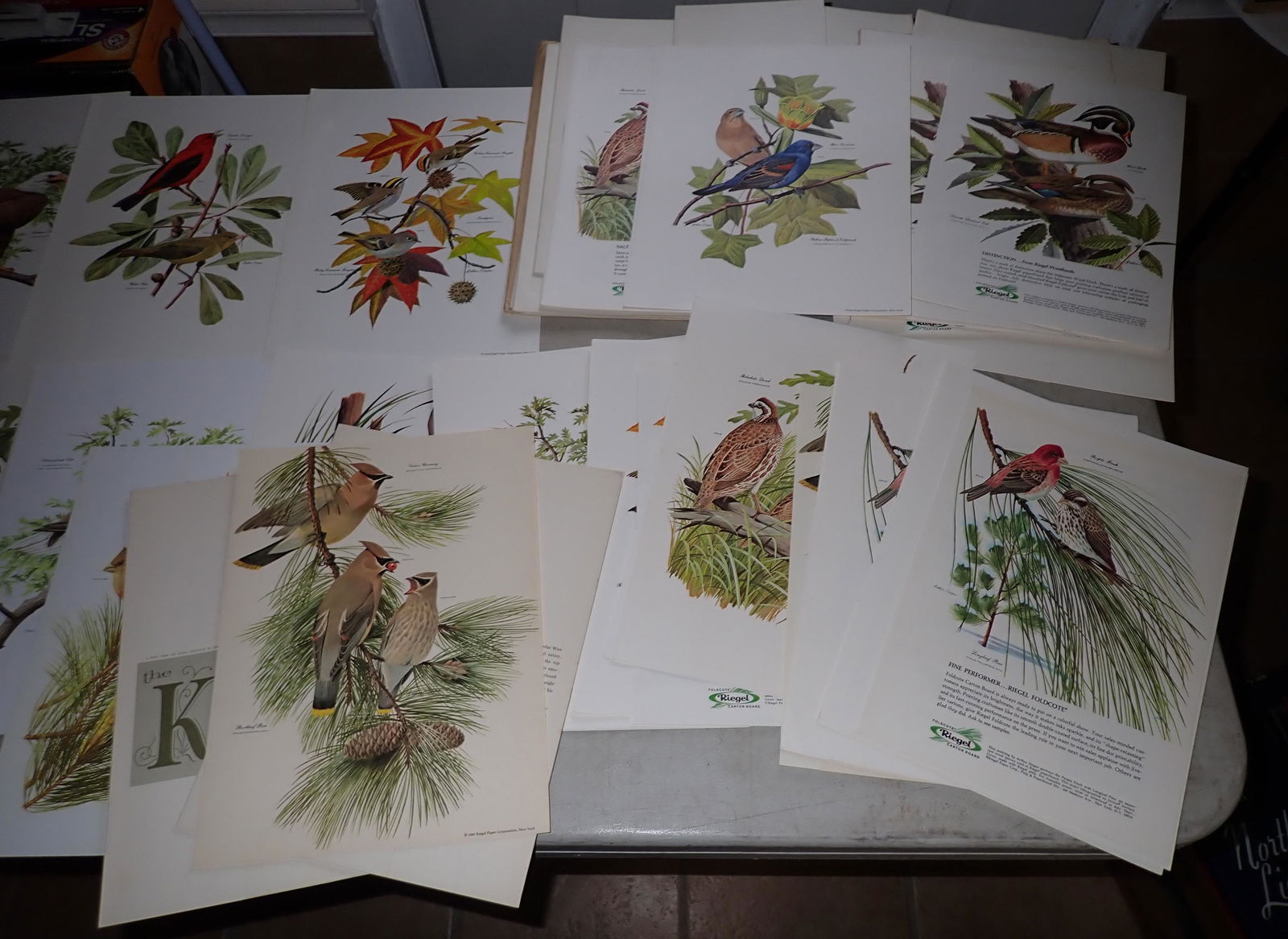 61 Arthur Singer Riegel Paper Lithos (1 of 5)