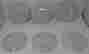 item-133853252=2