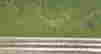 item-133853423=3