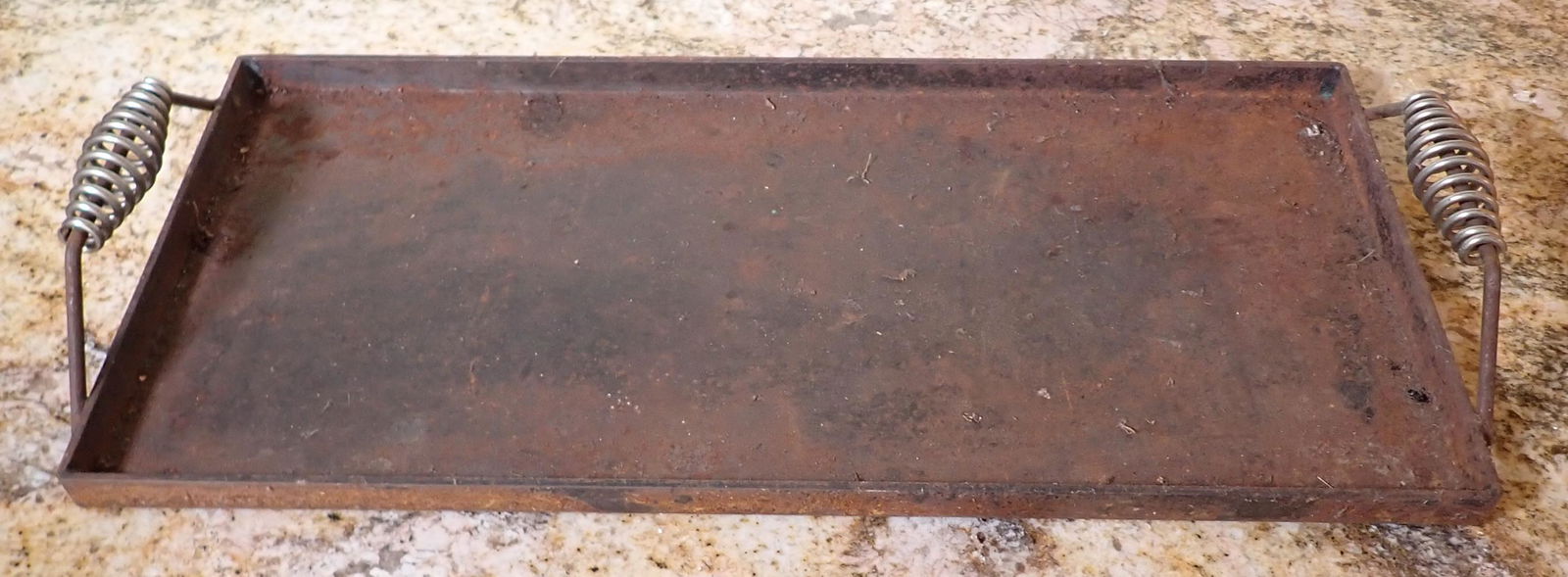 Cast Iron Griddle (1 of 2)