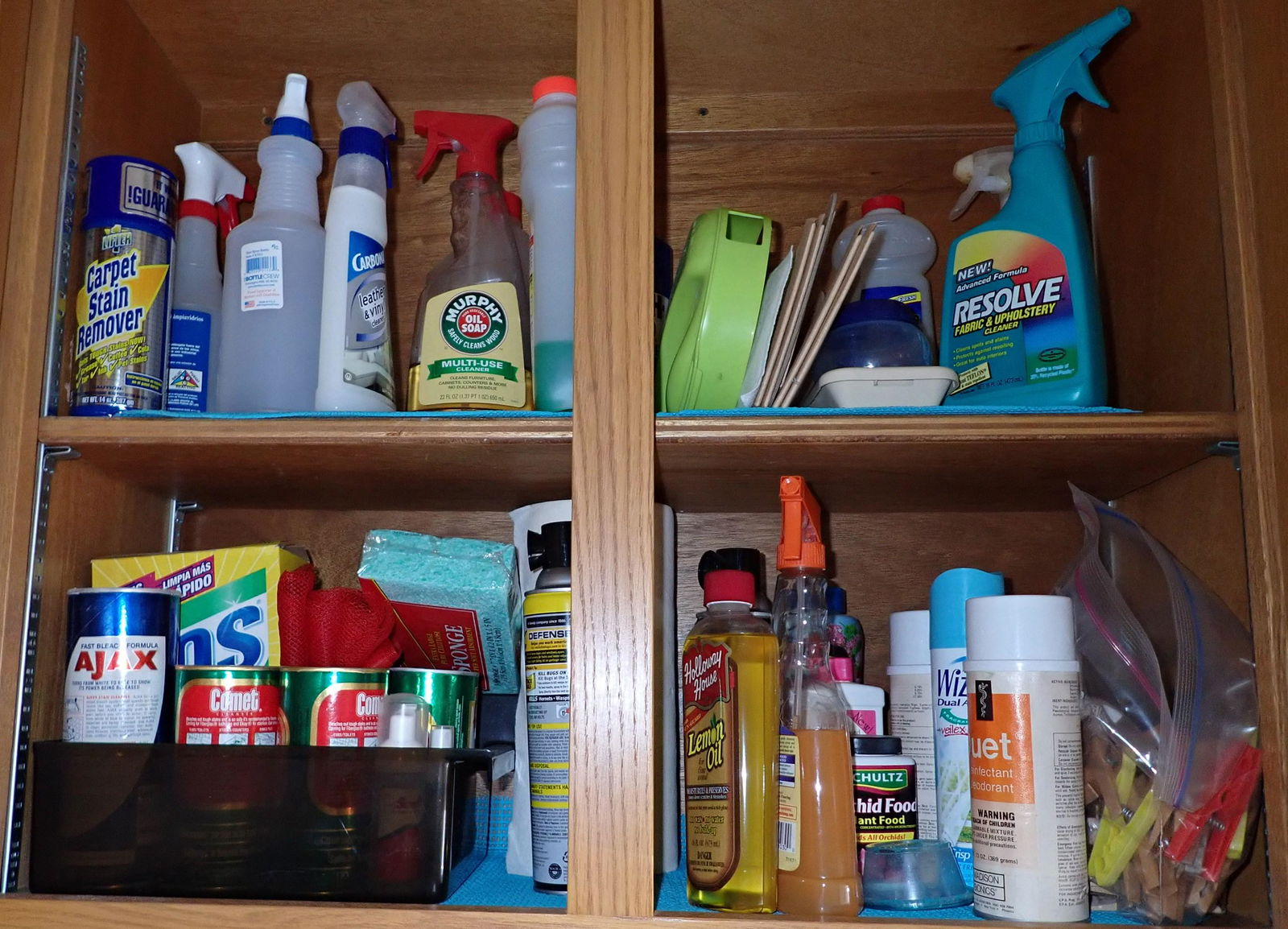 Cleaning Supplies (1 of 1)