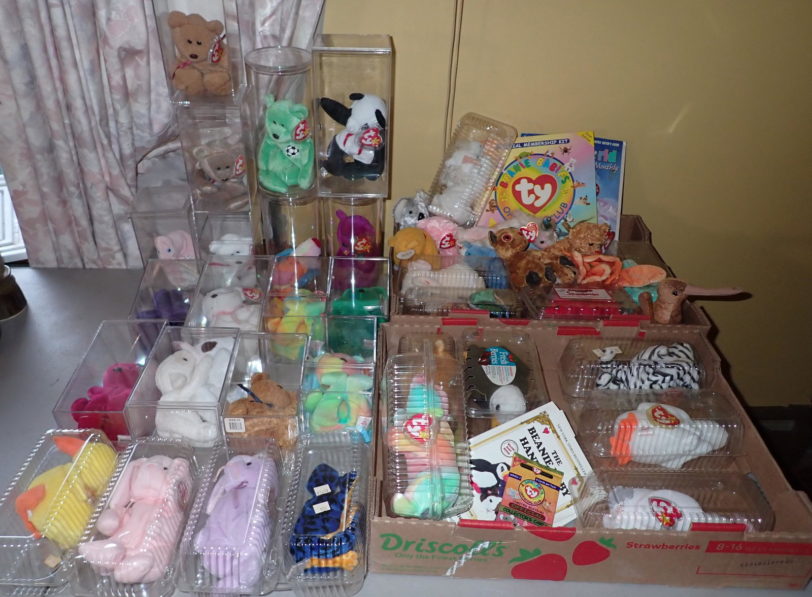 Beanie Babies: Getting all beanie babies pictured