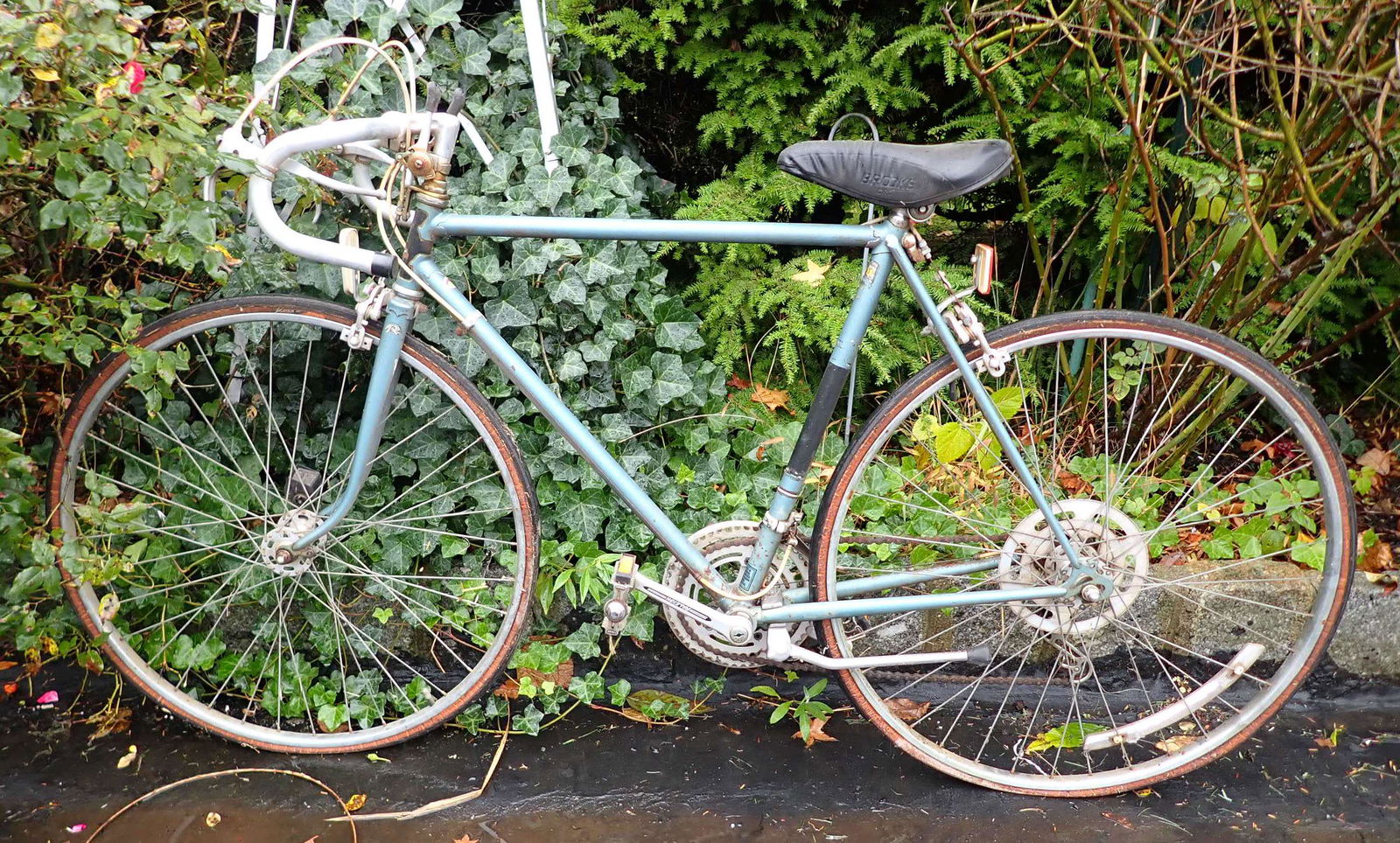 Vintage Raleigh Bicycle (1 of 1)