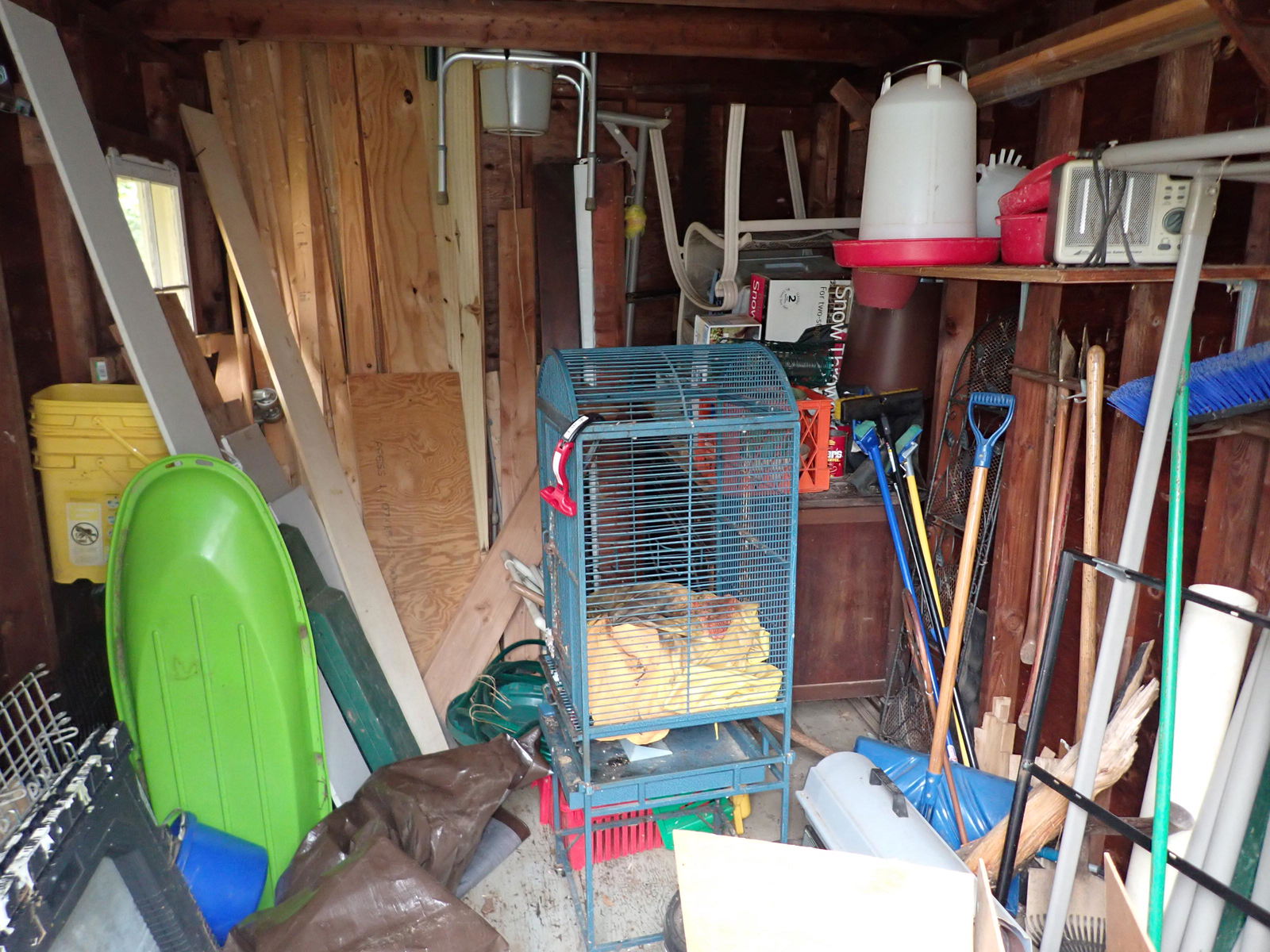 Shed Contents (1 of 11)