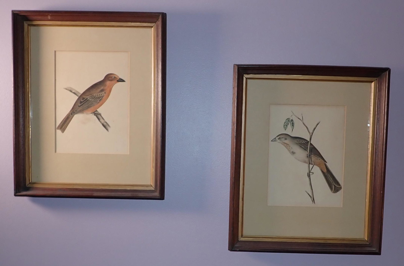 2 Hand Colored Bird Lithos (1 of 4)
