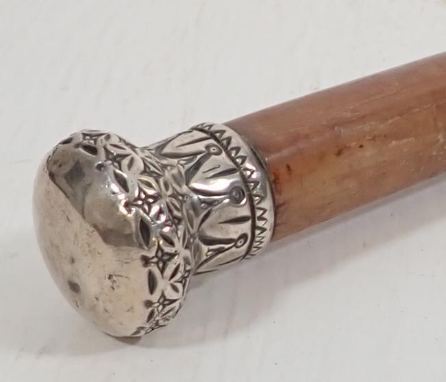 Walking Stick w/ Sterling ? Top (1 of 5)