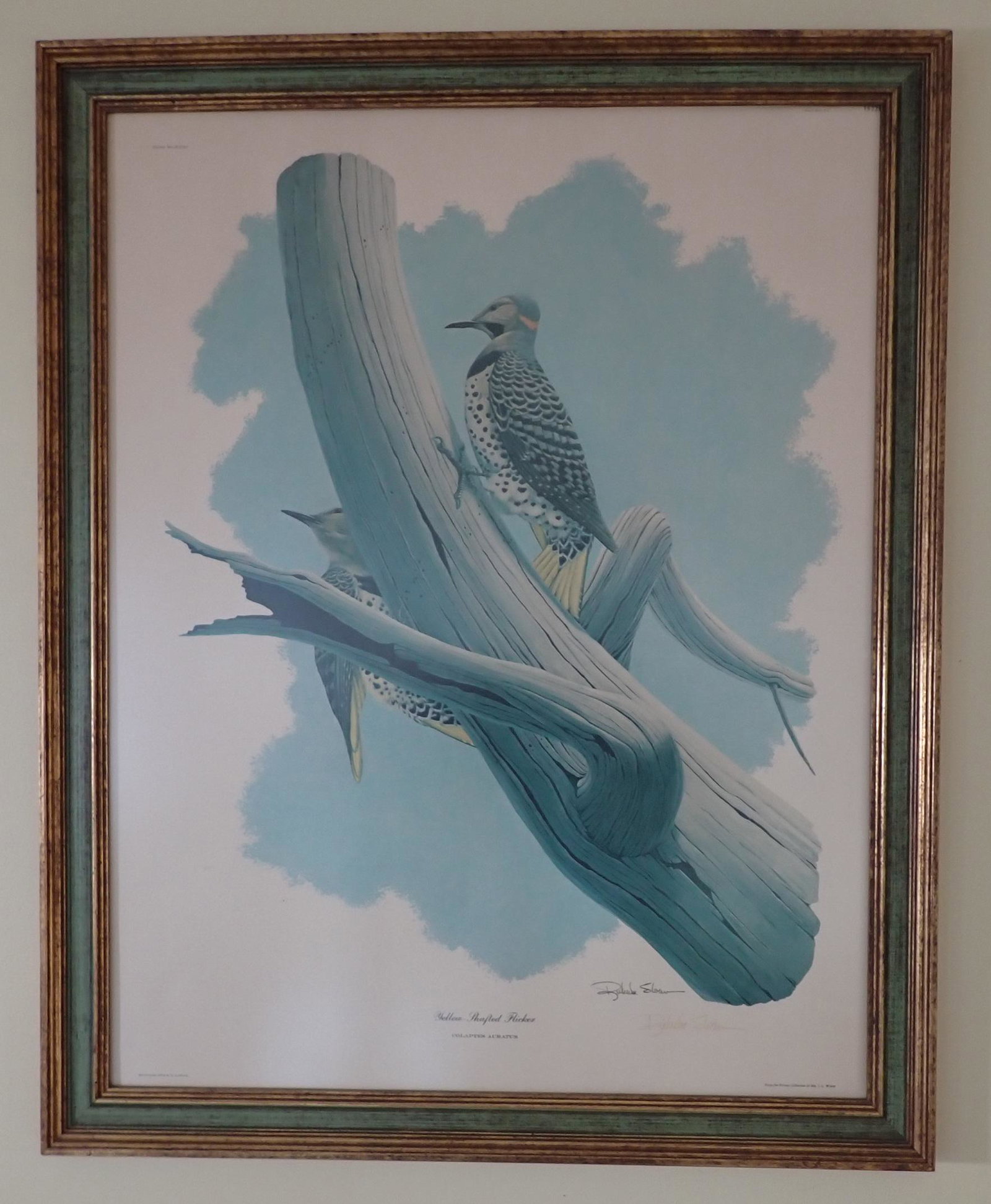 1972 JL Wade Richard Sloan Signed Bird Litho (1 of 7)