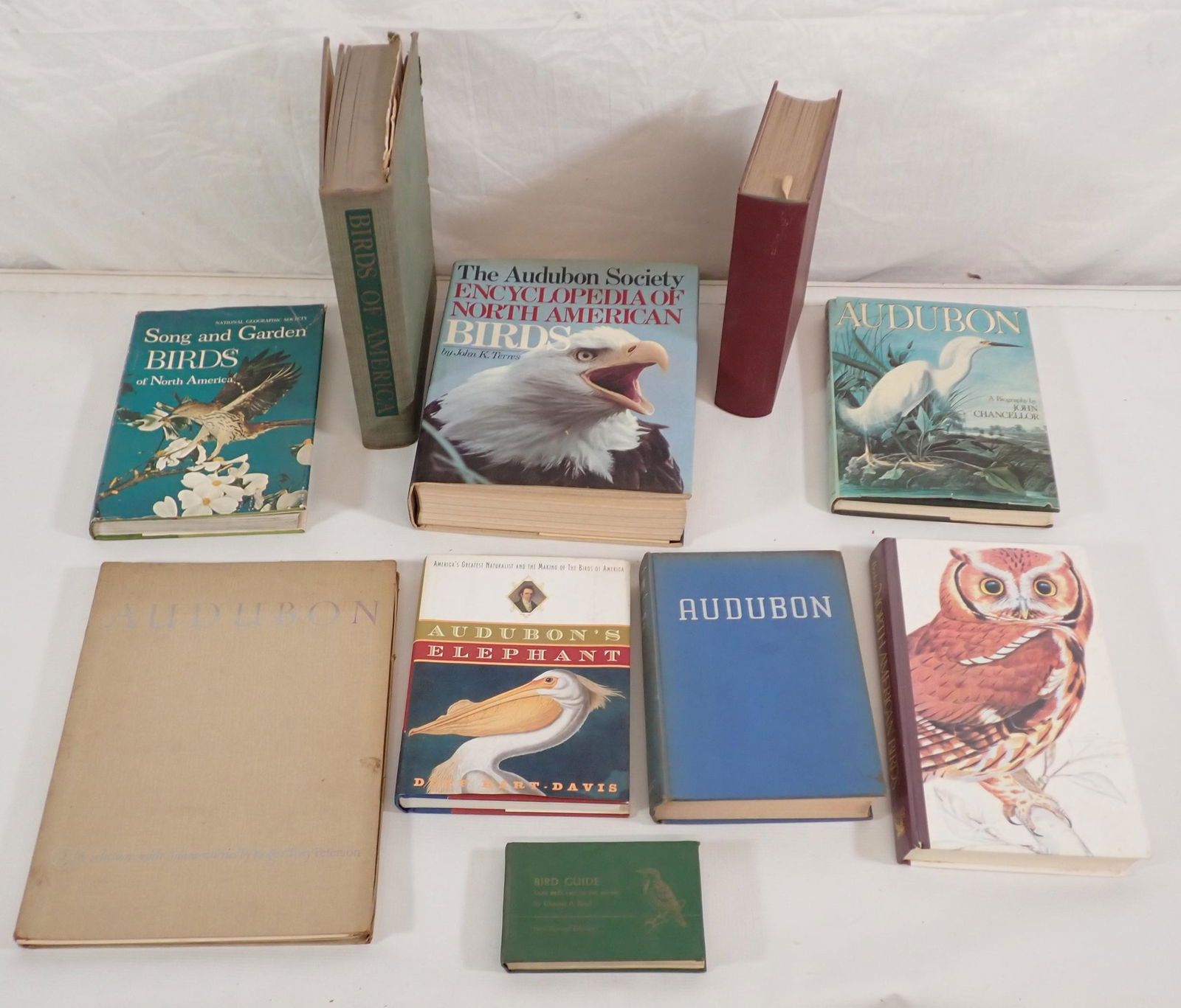 Audubon Books Roger Tory Peterson Prints (1 of 11)