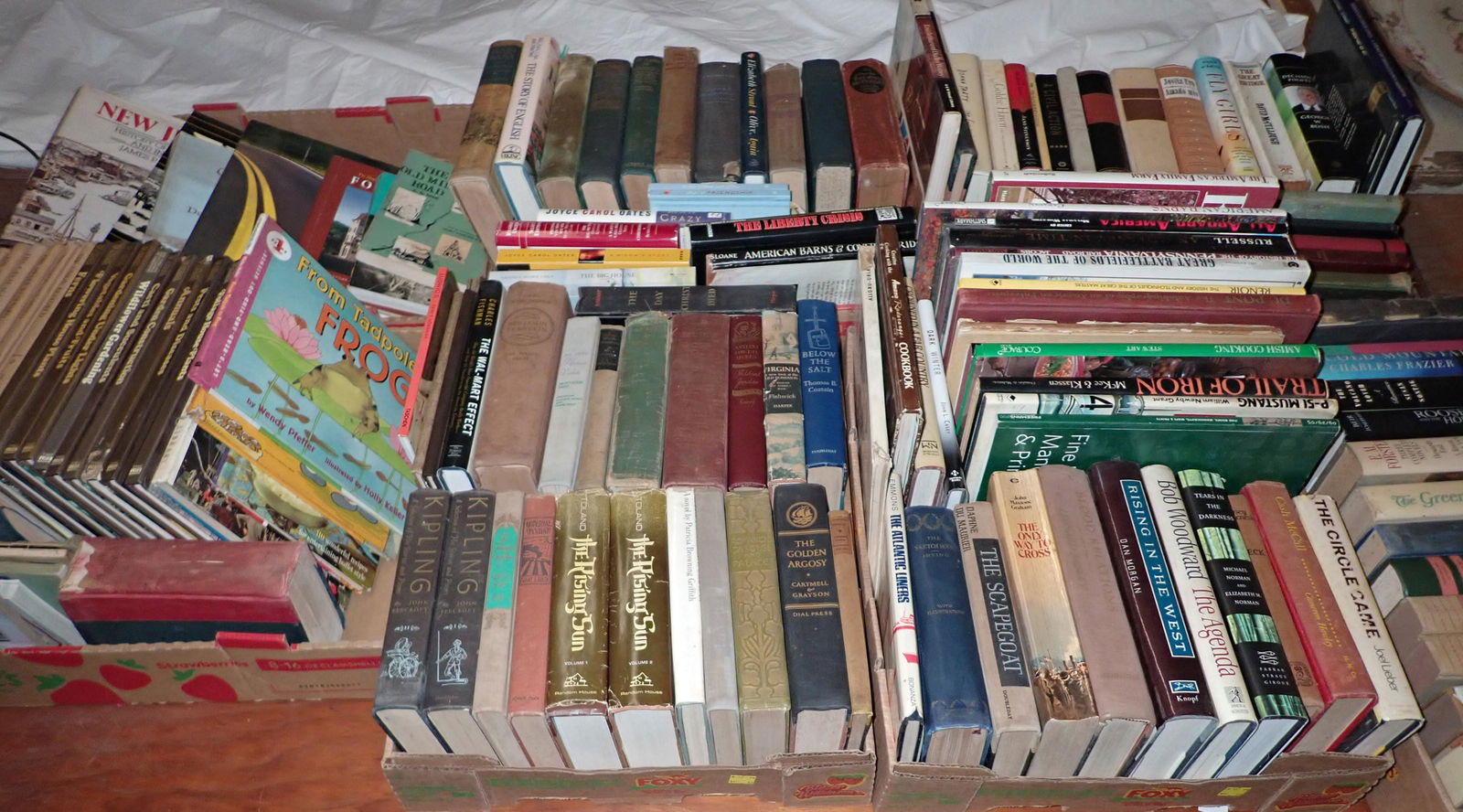 Large Lot of Misc Books (1 of 13)