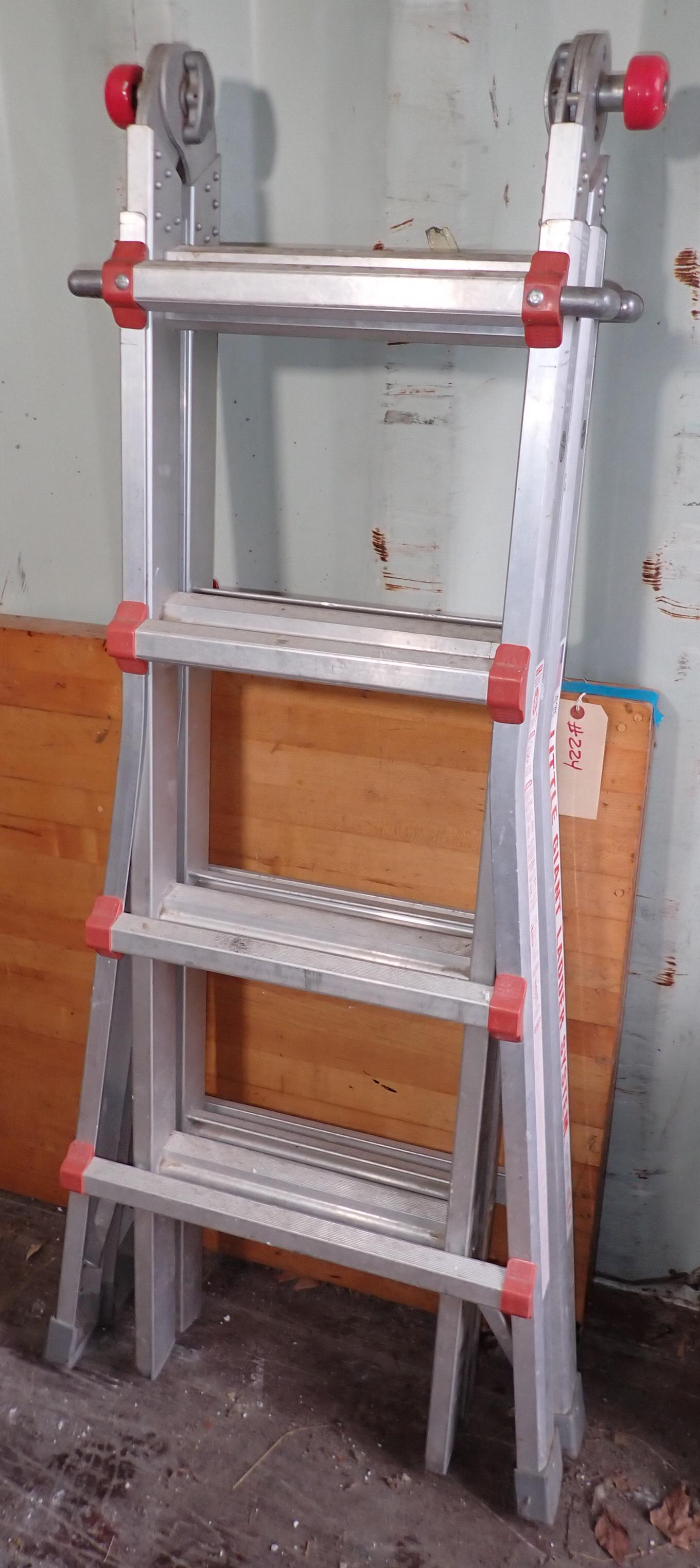 Little Giant Type 1A Ladder (1 of 4)