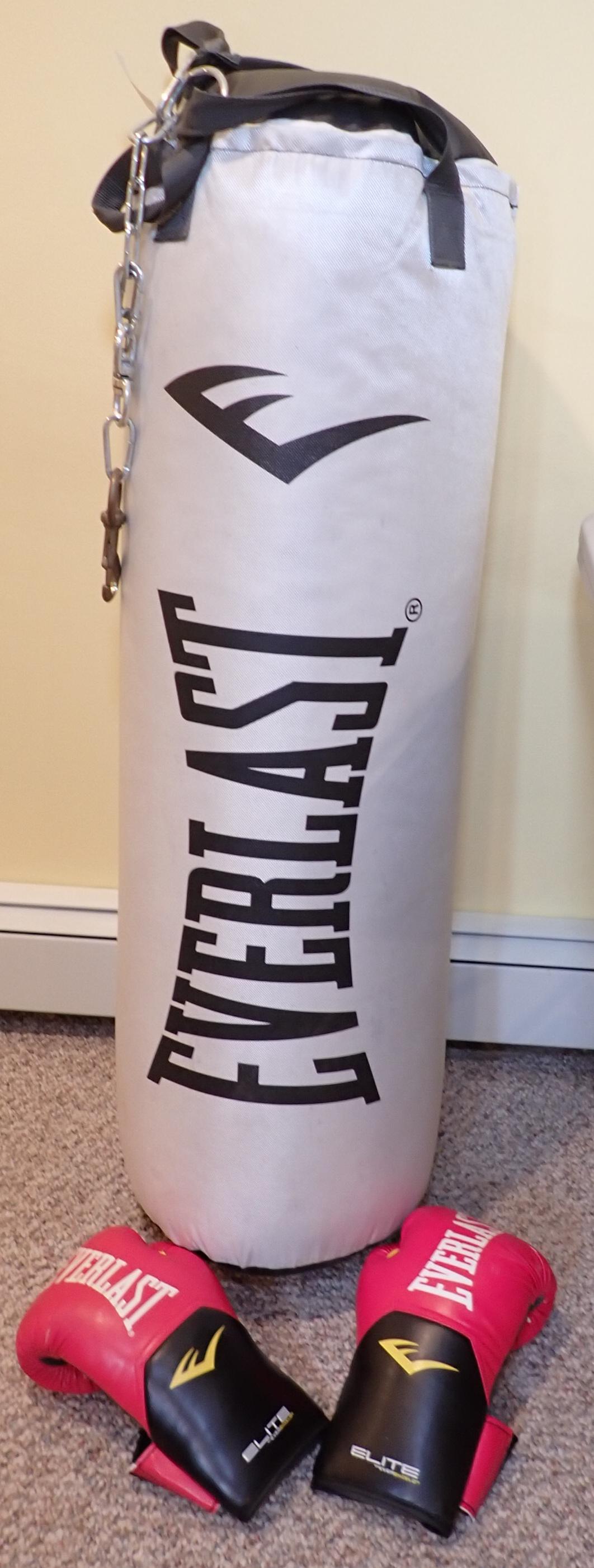 Everlast Punching Bag and Boxing Gloves (1 of 1)