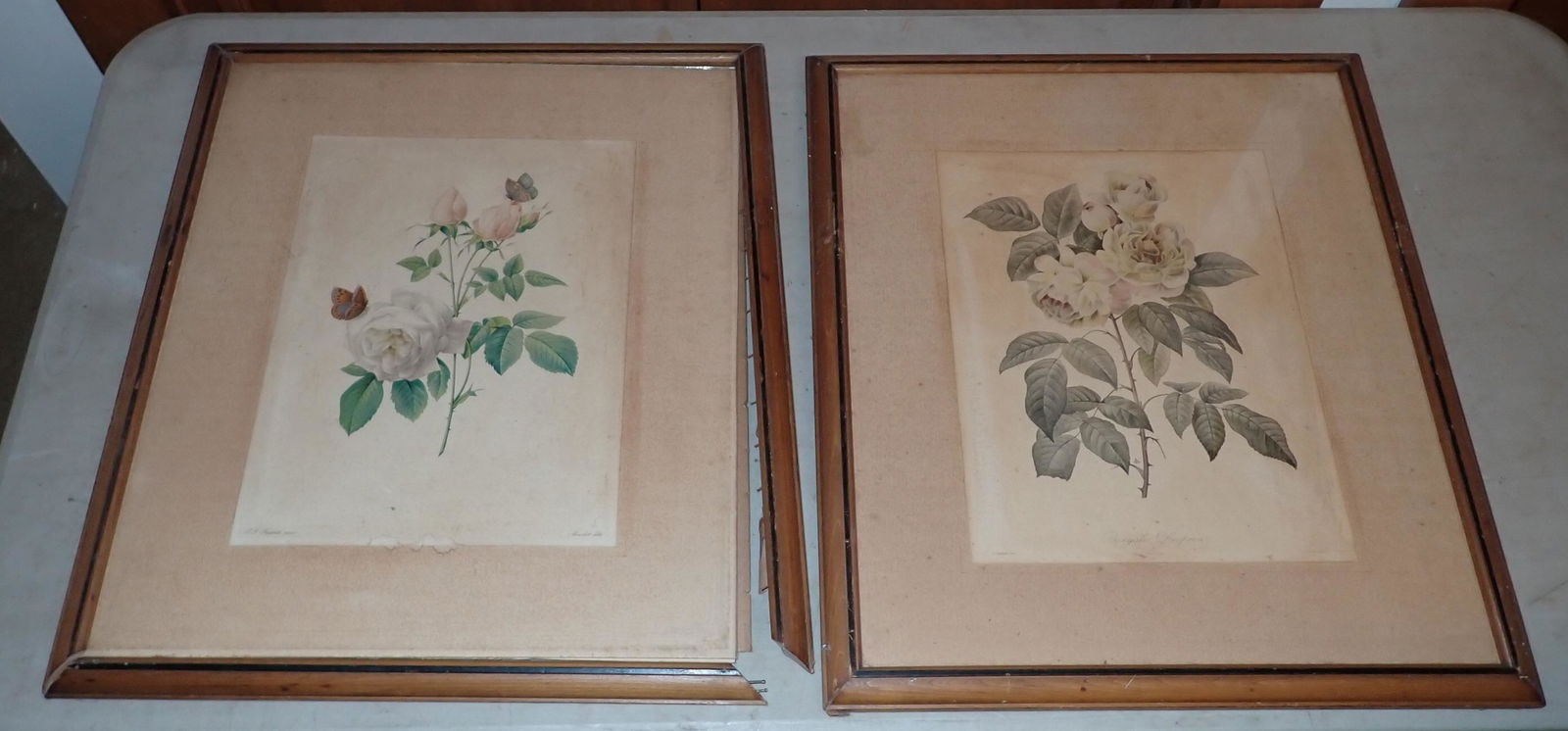 PJ Redoute Hand Colored Lithos (1 of 9)