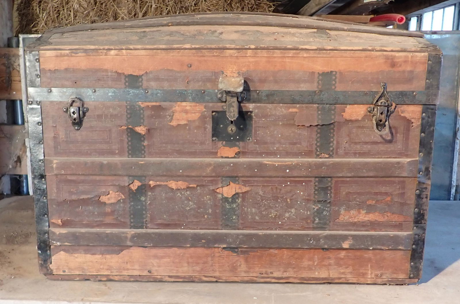 Camelback Trunk (1 of 4)