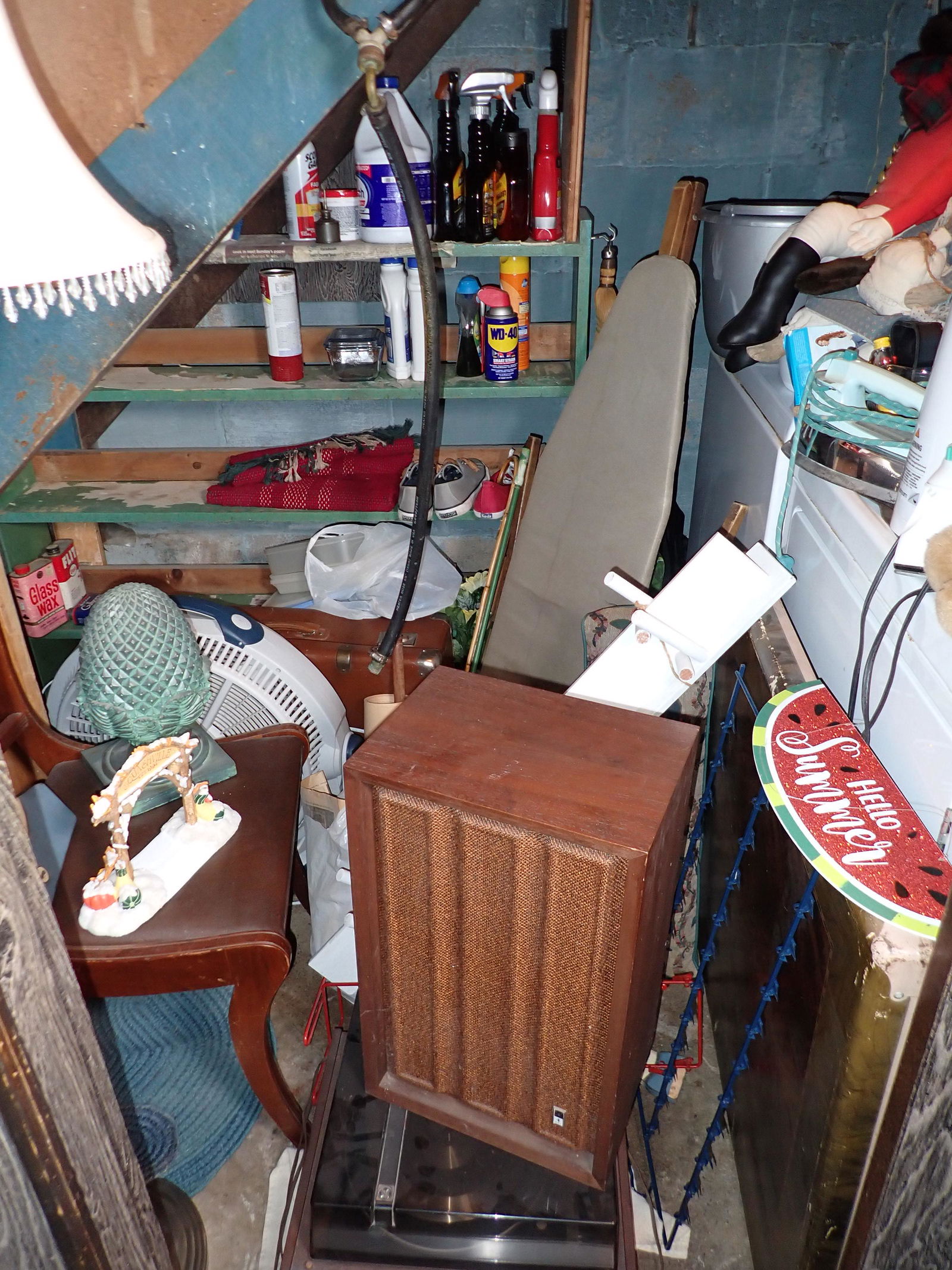 Contents of Laundry Room (1 of 10)