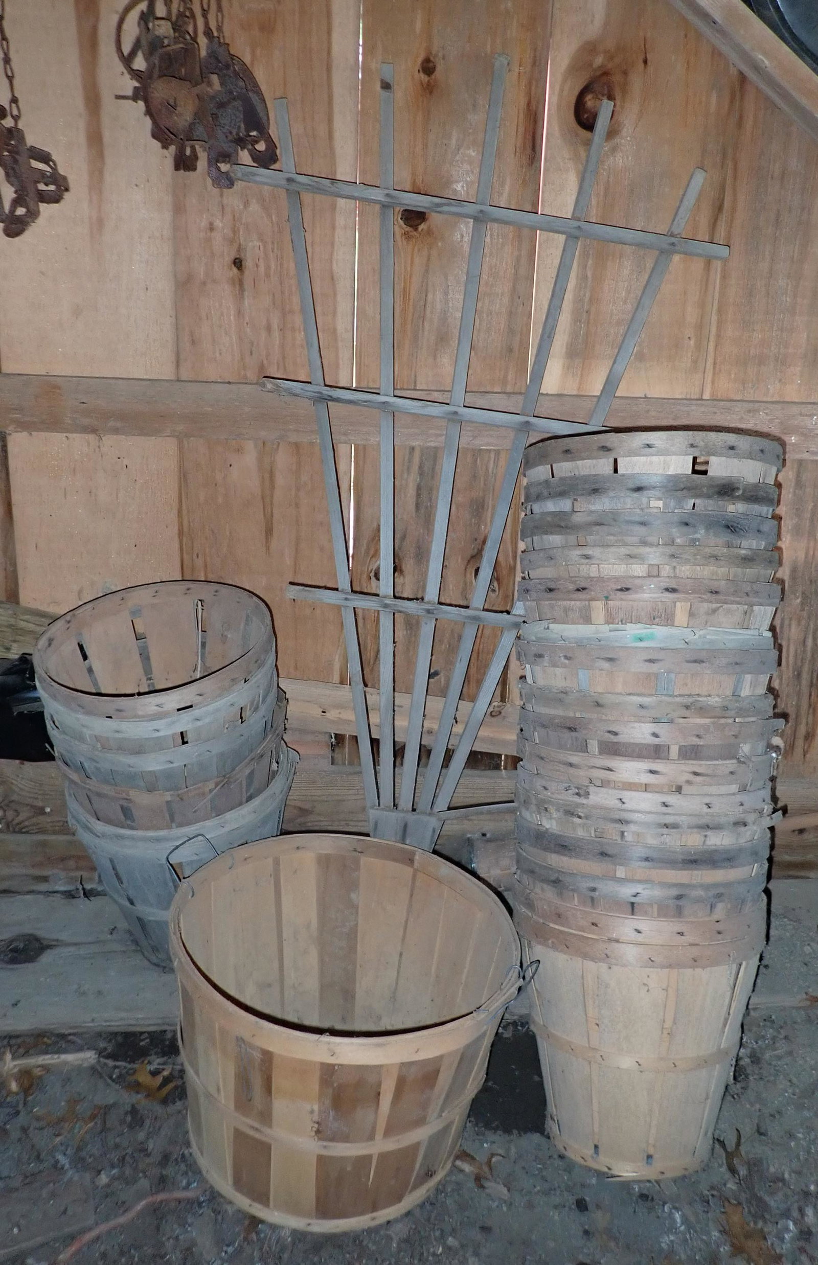 Fruit Baskets and Garden Trellis: Trellis is apprx 29 1/2" x 57". NO shipping !