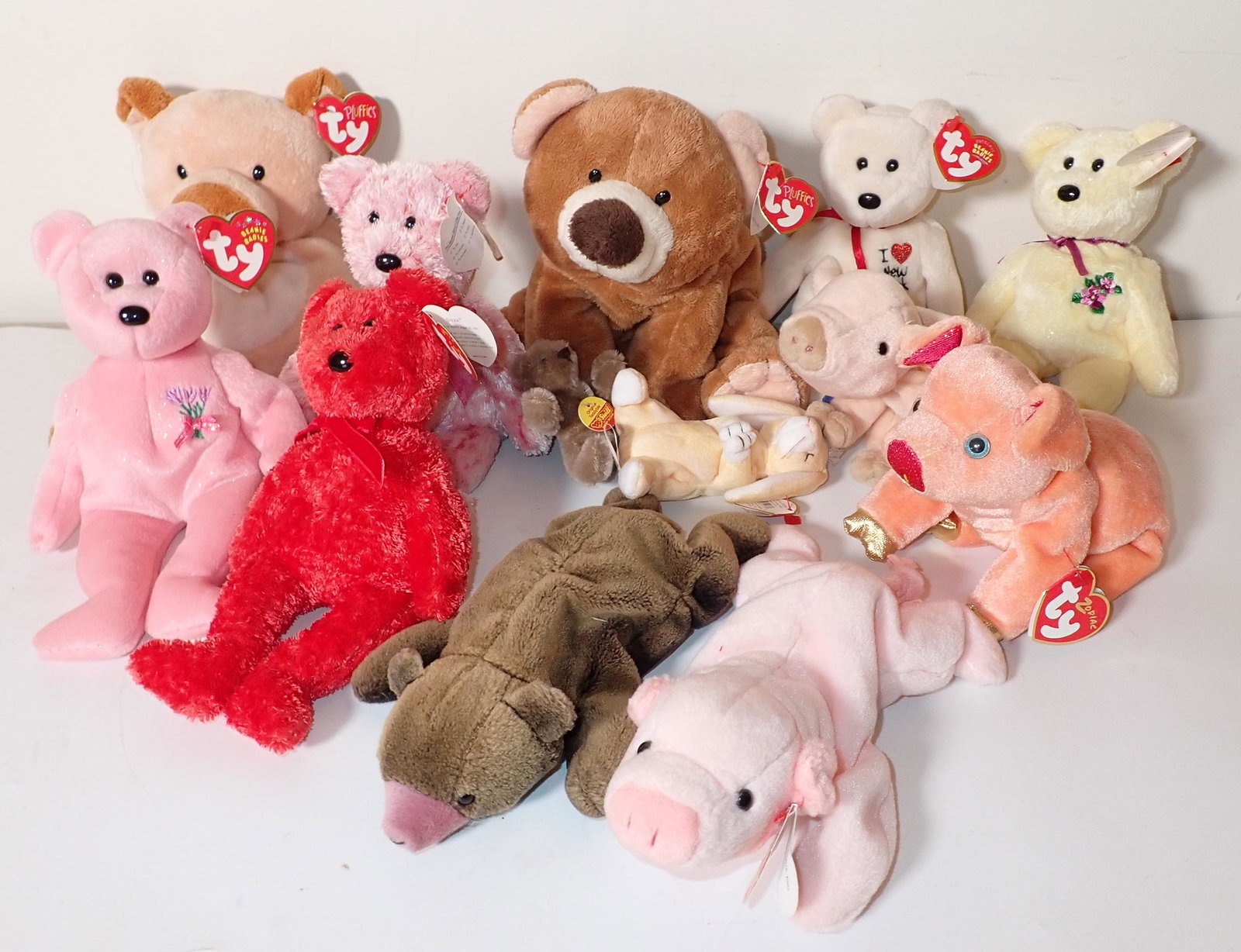 Ty Beanie Babies: Getting all pictured