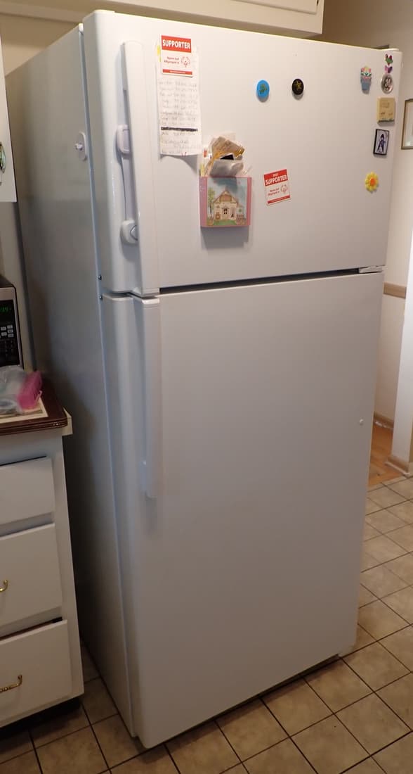 GE Refrigerator (1 of 4)