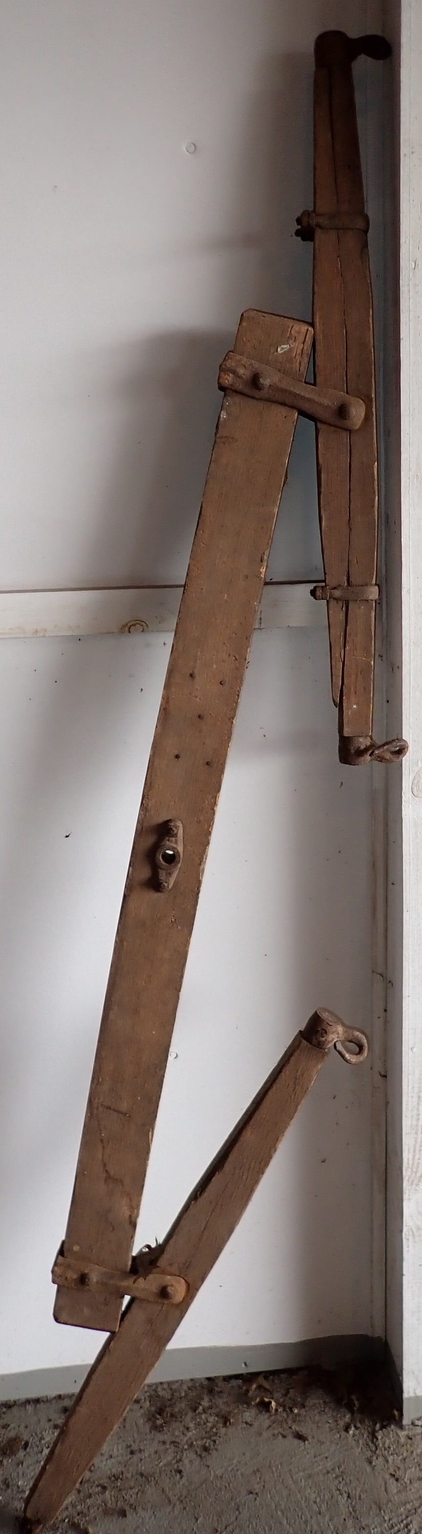 Triple Tree (1 of 3)