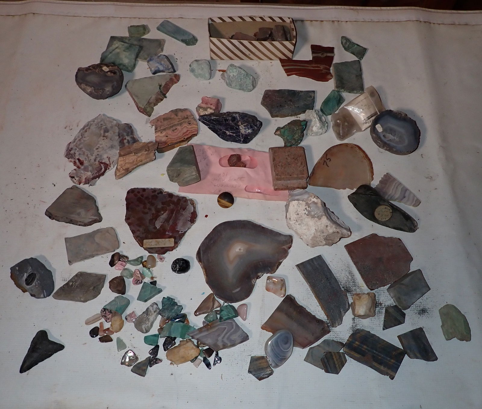 Rocks Geodes Fossil Misc (1 of 10)