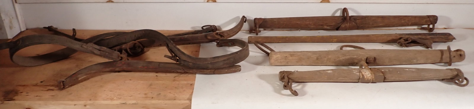 Single Trees & Haines (1 of 2)