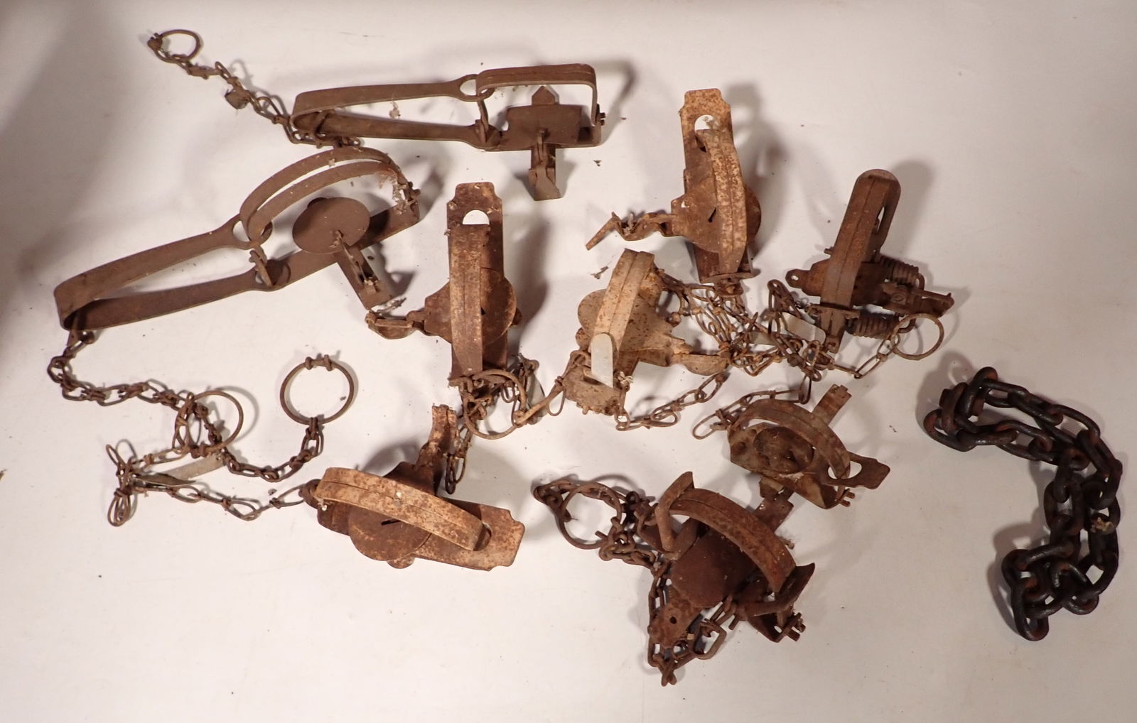 Animal Traps (1 of 3)