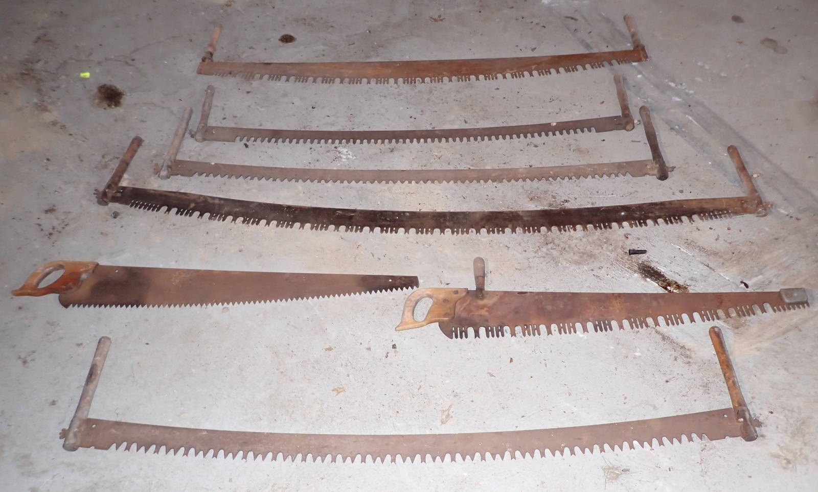 Two Man Saws Auction