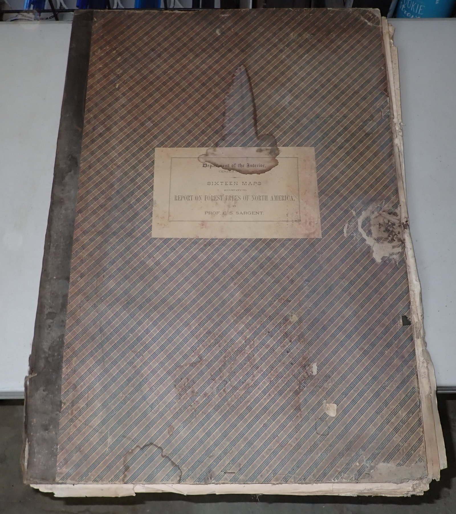 C.S Sargent Department of Interior Maps Forest Trees: Folio of Maps - We do not guarantee it is complete