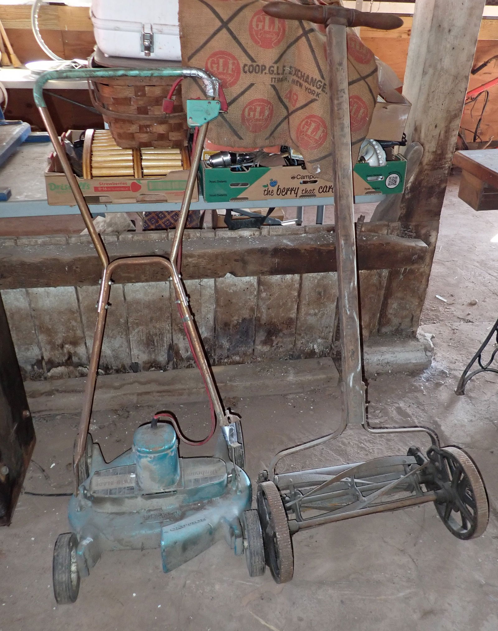 Sunbeam Electric & Reel Mowers (1 of 3)