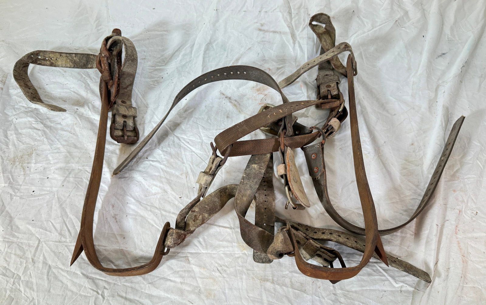 Linemans Climbing Spurs: Spurs