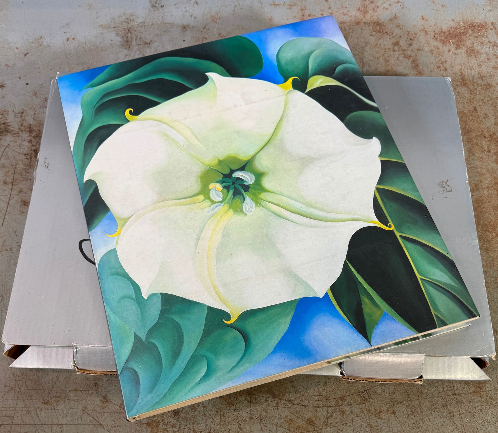 Georgia O'keeffe One Hundred Flowers Book