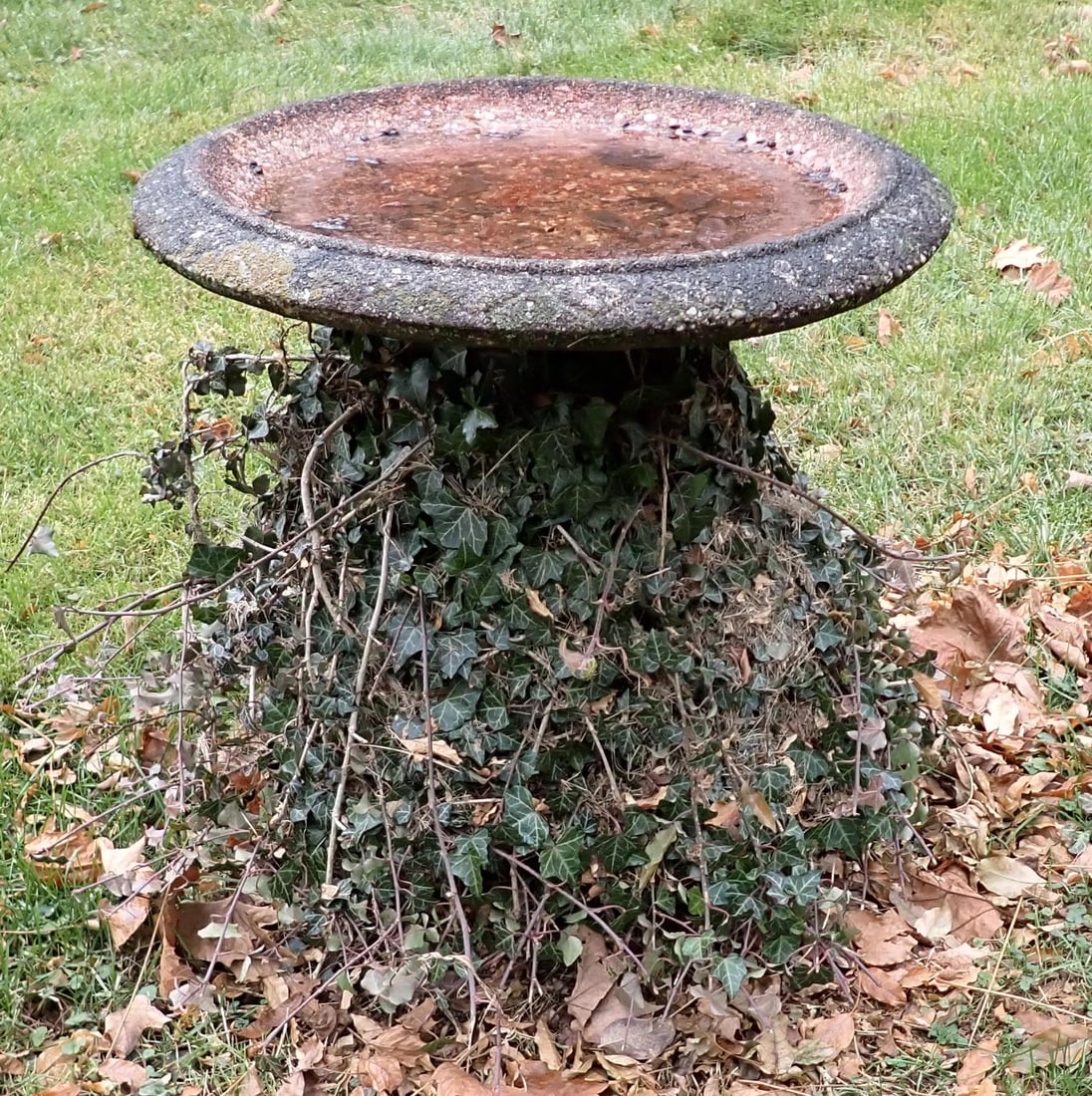 Concrete Birdbath Top (1 of 2)